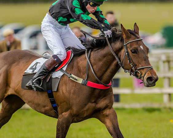 Pony Race 3 (51 of 78).jpg