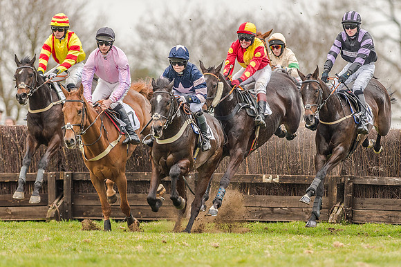 Race 5 - Open Maiden Division 1  (31 of 90).jpg