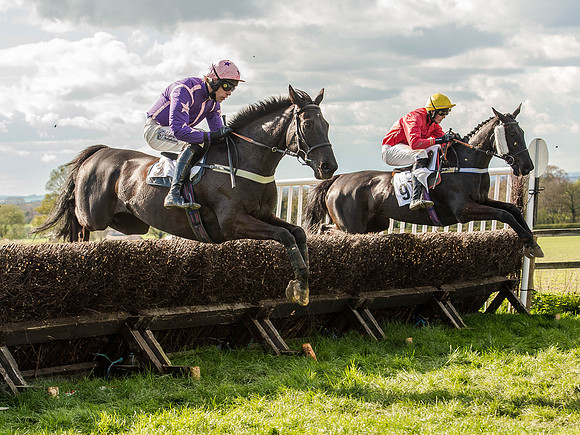 Race 5 - The Southern Grand national (45 of 96).jpg