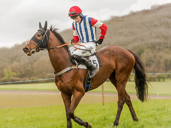 Race 3 - Young Horse maiden 2m5f (48 of 124).jpg