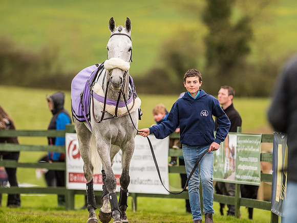 Race 7 - Open Maiden Division 2  (18 of 106).jpg