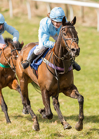 Pony Race 2 - 148cm  (26 of 49).jpg