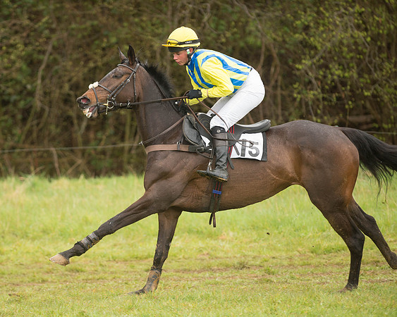Race 5 - Open Maiden (48 of 147).jpg
