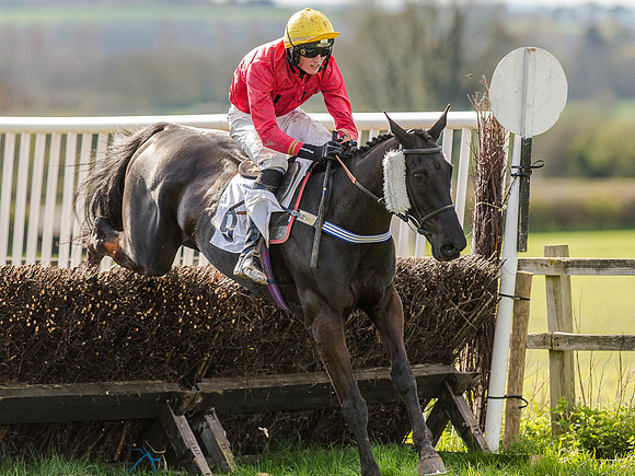 Race 5 - The Southern Grand national (54 of 96).jpg