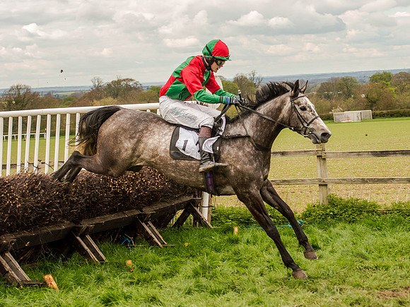 Race 3 - Young Horse maiden 2m5f (91 of 124).jpg
