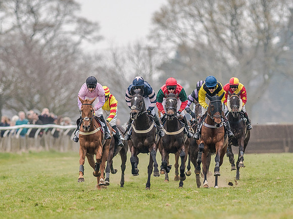 Race 5 - Open Maiden Division 1  (40 of 90).jpg