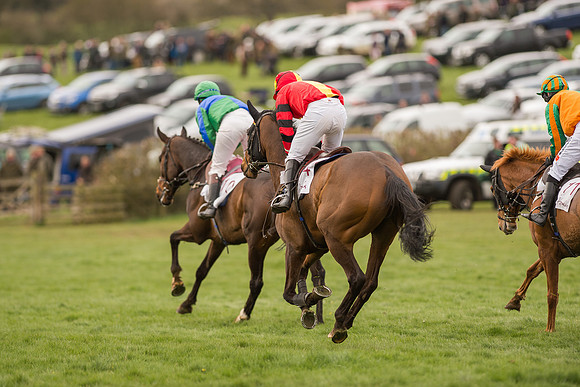 Race 6 - Open Maiden Division 1  (88 of 133).jpg