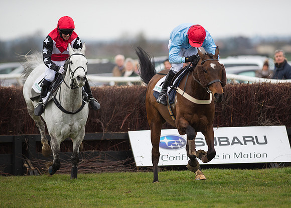 Race 6 - Confined Hunts-90