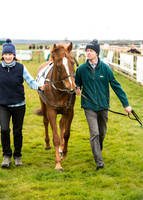Pony Race 1 - 138cm -9