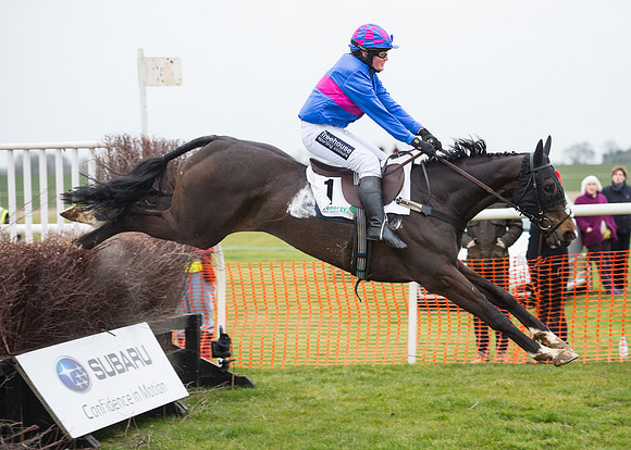 Race 7 - PPORA Novice Riders-67