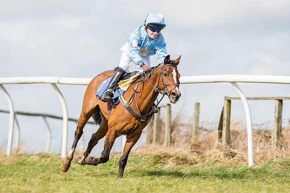 Pony Race 1 - 138cm  (33 of 57).jpg