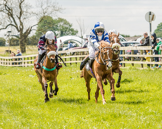 Pony Race 2 (50 of 57).jpg