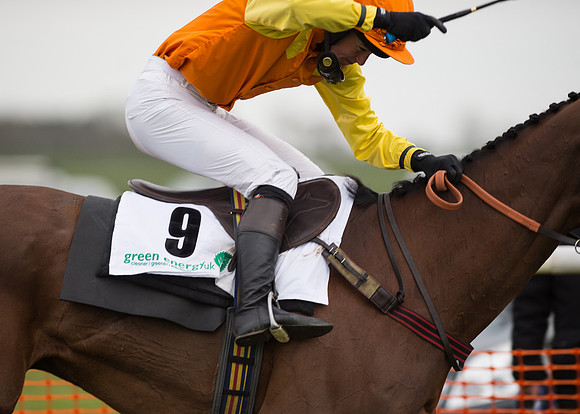 Race 6 - Confined Hunts-98
