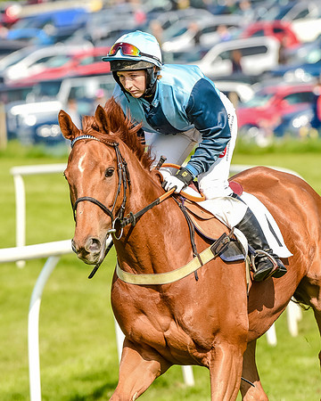 Race 5 - The Ladies Open  (27 of 133).jpg