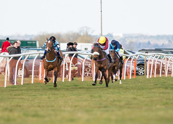Pony Race 2 - 148cm -15