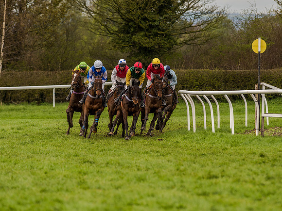 Race 1 - Confined Hunts (64 of 118).jpg