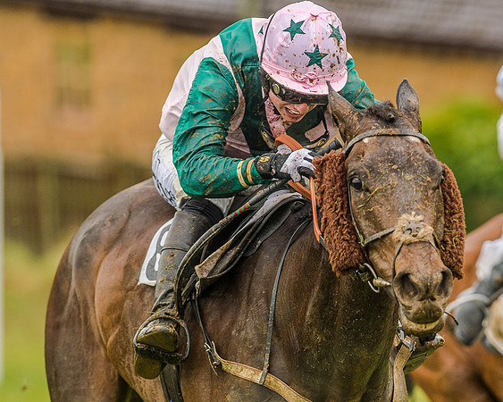 Race 5 - Restricted Race (103 of 146)-2.jpg
