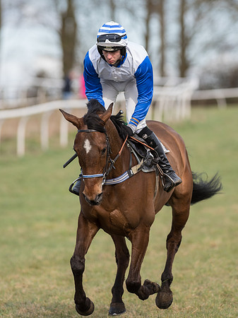 Race 5 - Restricted Race (52 of 120).jpg