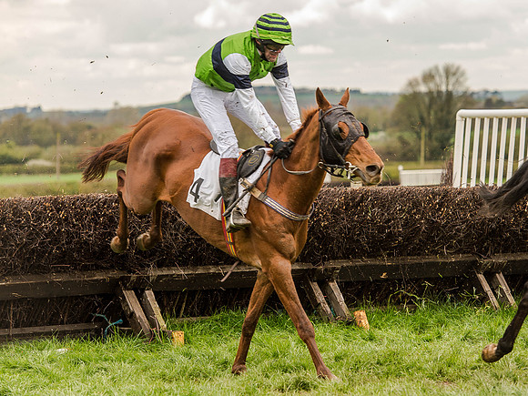 Race 2 - PPORA Club Members Conditions 2m5f (85 of 137).jpg