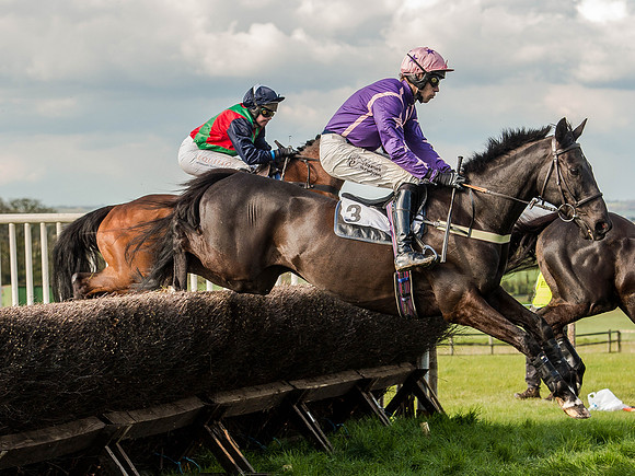 Race 5 - The Southern Grand national (28 of 96).jpg