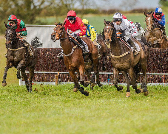 Race 5 - Open Maiden (96 of 147).jpg