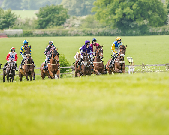 Race 2 - PPORA Members Novice Riders  (35 of 112).jpg