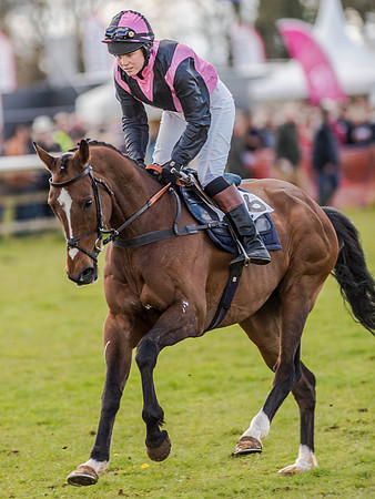 Race 3 - PPORA Club Members Novice Riders (29 of 75).jpg