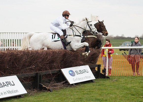 Race 6 - Confined Hunts-60