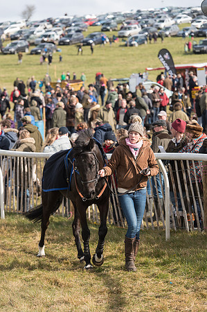 Race 4 - Novice and Veteran Riders race (8 of 46).jpg