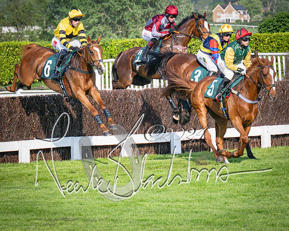 Race 3 - The Junior Jumpers open hunter's steeple chase 3m1f56y (53 of 156)