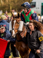 Race 5 - The Southern Grand national (16 of 96).jpg