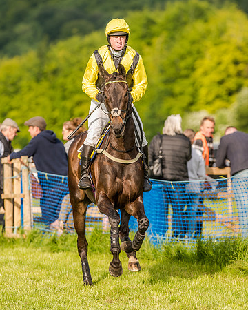 Race 7 - Div 2 - Open Maiden (50 of 163).jpg