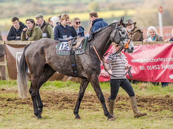 Race 6 - The Restricted Race [Nov-Vet] (14 of 84).jpg