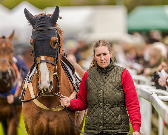 Race 2 - Open Maiden  (4 of 170).jpg