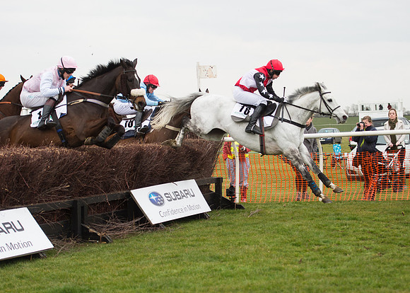 Race 6 - Confined Hunts-64