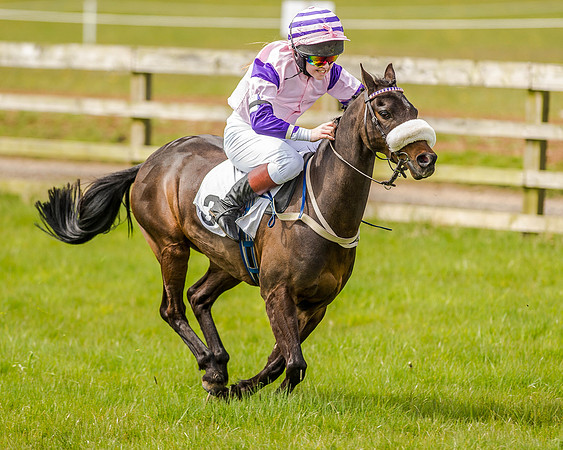 Pony Race 1  (37 of 65).jpg