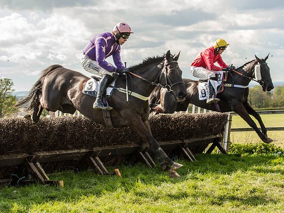 Race 5 - The Southern Grand national (46 of 96).jpg