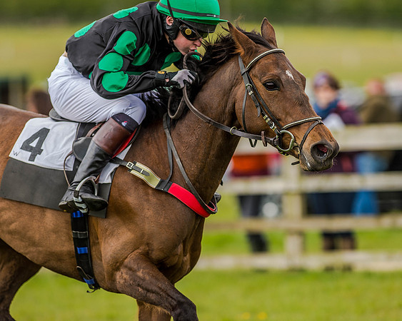 Pony Race 3 (53 of 78).jpg