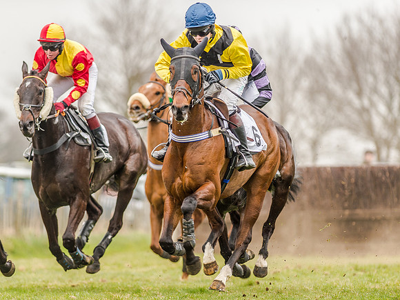 Race 5 - Open Maiden Division 1  (37 of 90).jpg