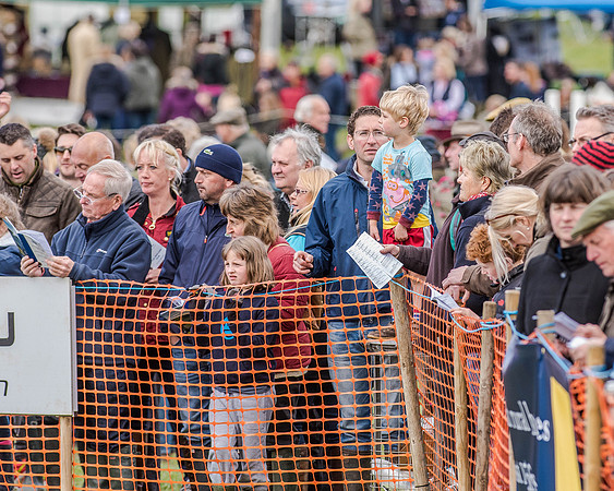 Race 3 - SEHC Members Conditions (11 of 132).jpg