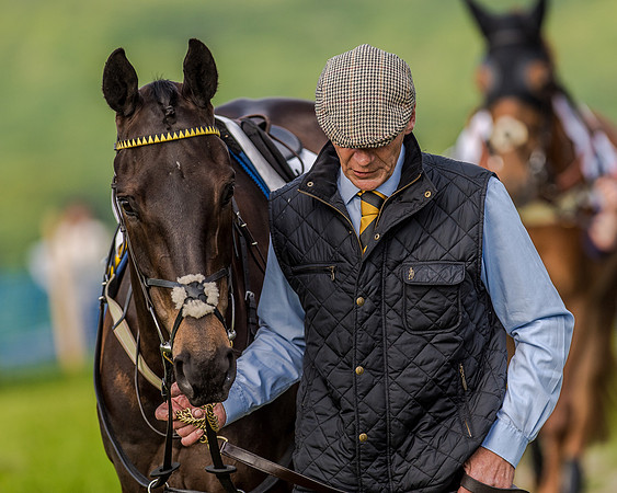 Race 7 - Div 2 - Open Maiden (9 of 163).jpg