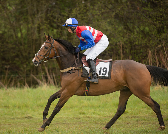 Race 5 - Open Maiden (50 of 147).jpg