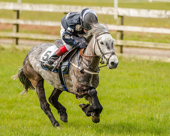Pony Race 1  (45 of 65).jpg