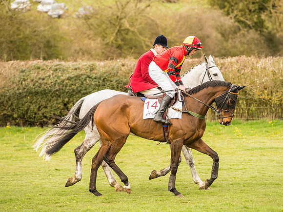 Race 6 - Open Maiden Division 1  (26 of 133).jpg