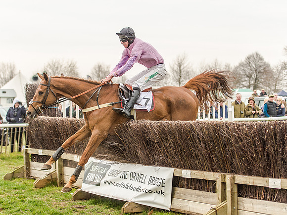 Race 5 - Open Maiden Division 1  (65 of 90).jpg