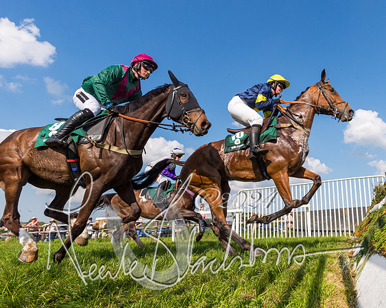 Race 6 - Owner trainer conditions (95 of 272)