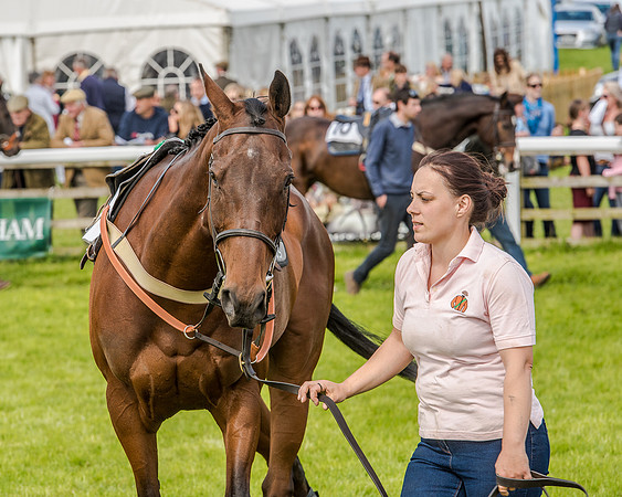 Race 4 - PPORA Novice Riders (2 of 196).jpg