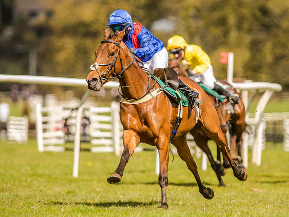 Pony Races (111 of 127).jpg