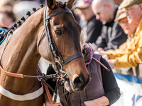 Race 3 - The Ladies Open (18 of 98).jpg