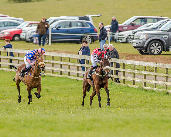 Pony Race 3 (24 of 78).jpg